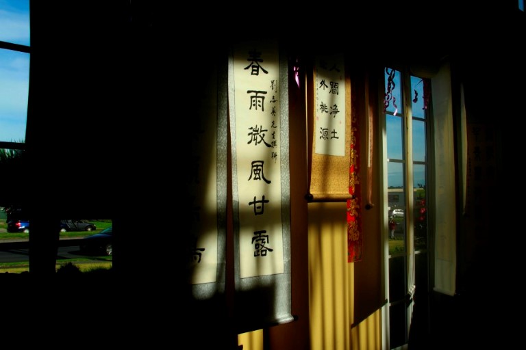 Shunmei-Deng-The Light Of The Home